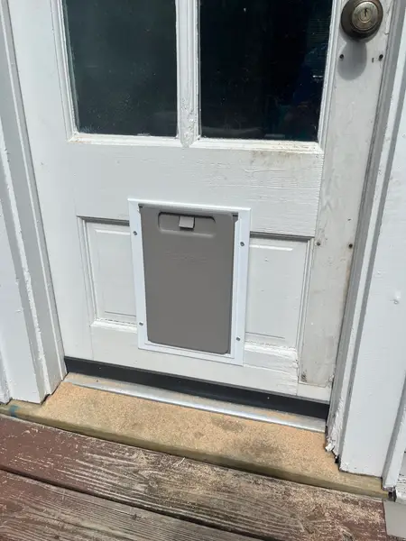 Doggy Door Installation in Mobile