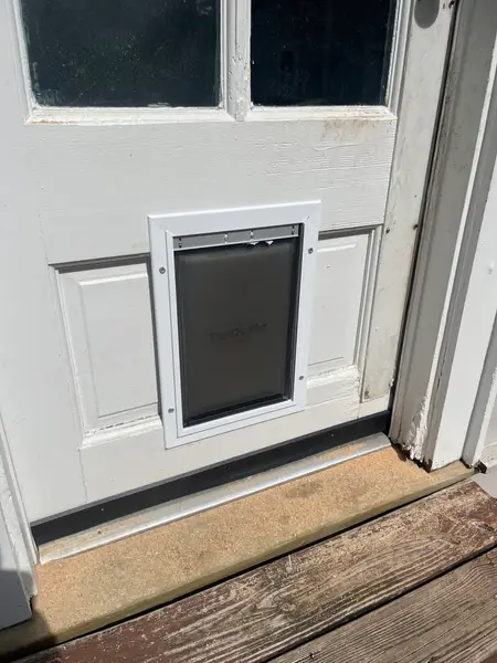 Doggy Door Installation in Mobile