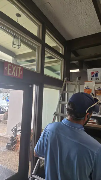 Window Tinting Service in Mobile
