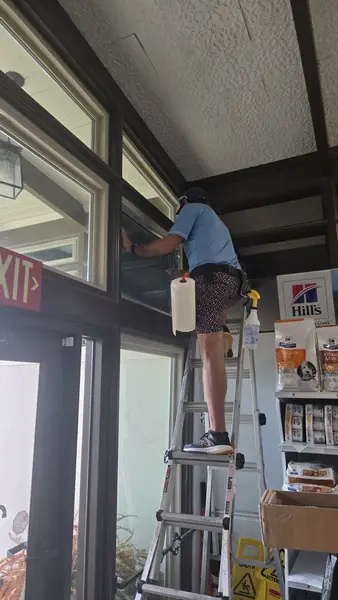 Window Tinting Service in Mobile
