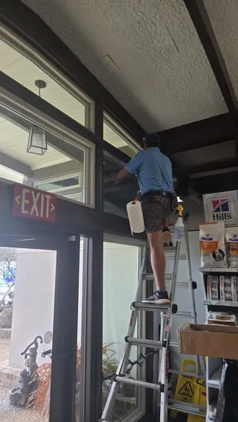 Window Tinting Service in Mobile